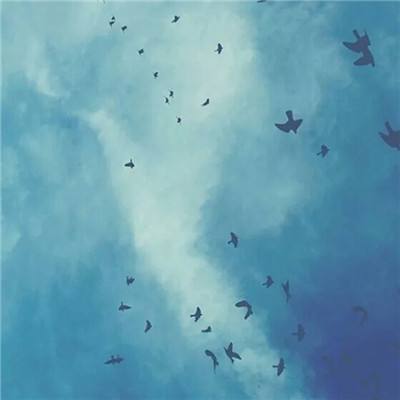 一分三快app手机app下载