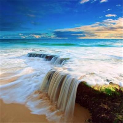 金沙集团186cc成色购买渠道