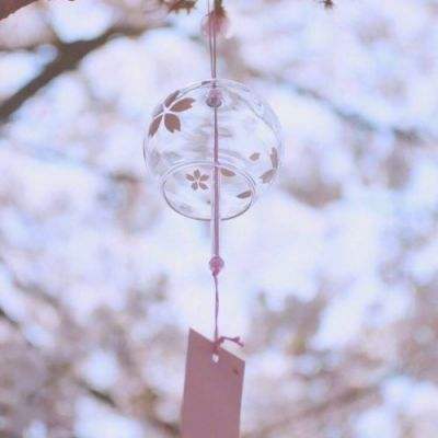 宝威体育app下载