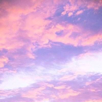 万博手机版max网页版狼队