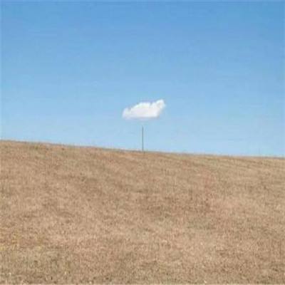 hth会体会官方网页版app下载