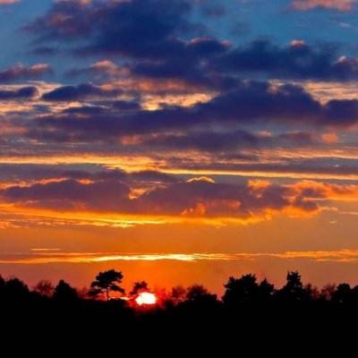 皇冠体彩app下载官网